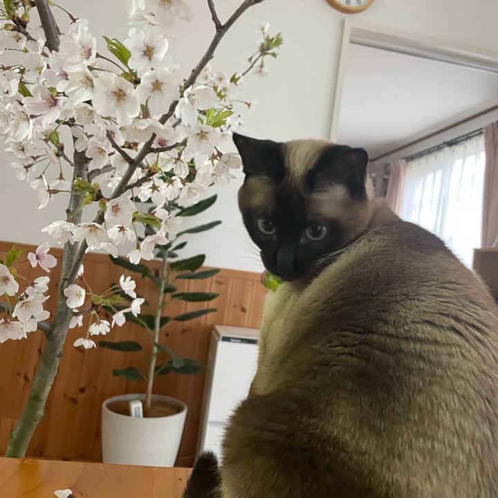 67d1c899 193a 4fed 884f 0b1574334384 1745962820666