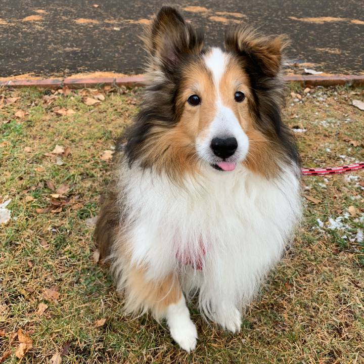 67d1eca7 2a45 48f7 b704 8142a8c0c4e0 1569731312025