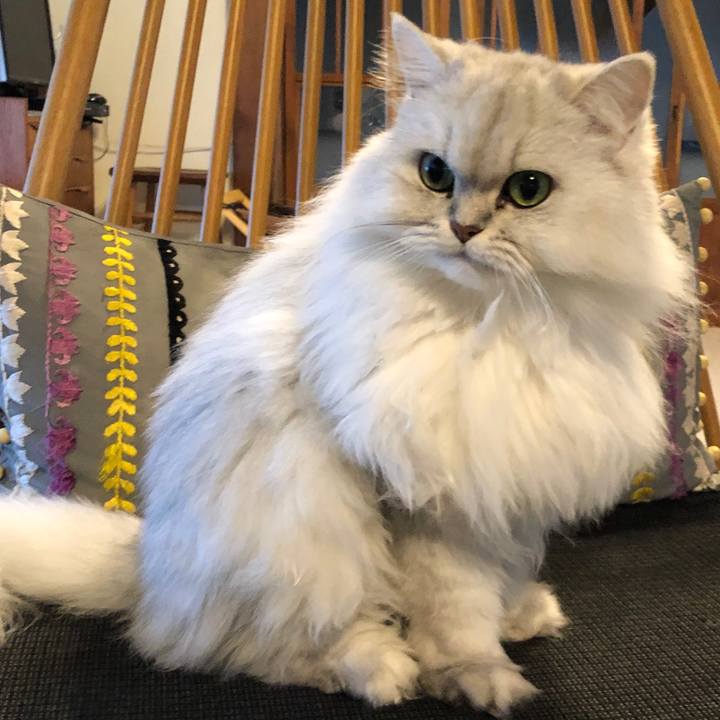 67d27c6a 3e15 4a42 add8 e02579dd85be 1573279992323