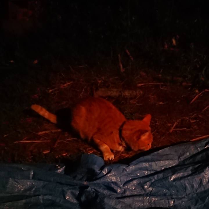 67d27f56 eaef 45dc ab8a 35b0e675ff8b 1593777266423