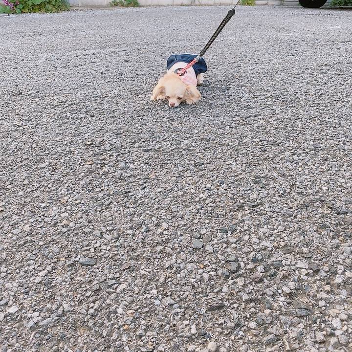 67d28ee2 7f96 488f b34b 7ba8f4540ba7 1619775591829