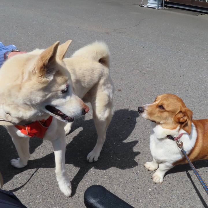 67d2ebb7 999d 4f64 ac9e ef275f0a1289 1618795963540