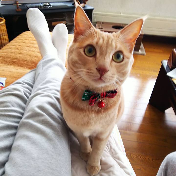 67d2f6c7 5cc5 4359 9c1f 35a3c1da9f5f 1576377812349