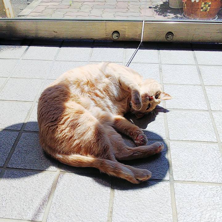 67d31a5e bfd7 45d7 86a0 8138f461970b 1661047886580