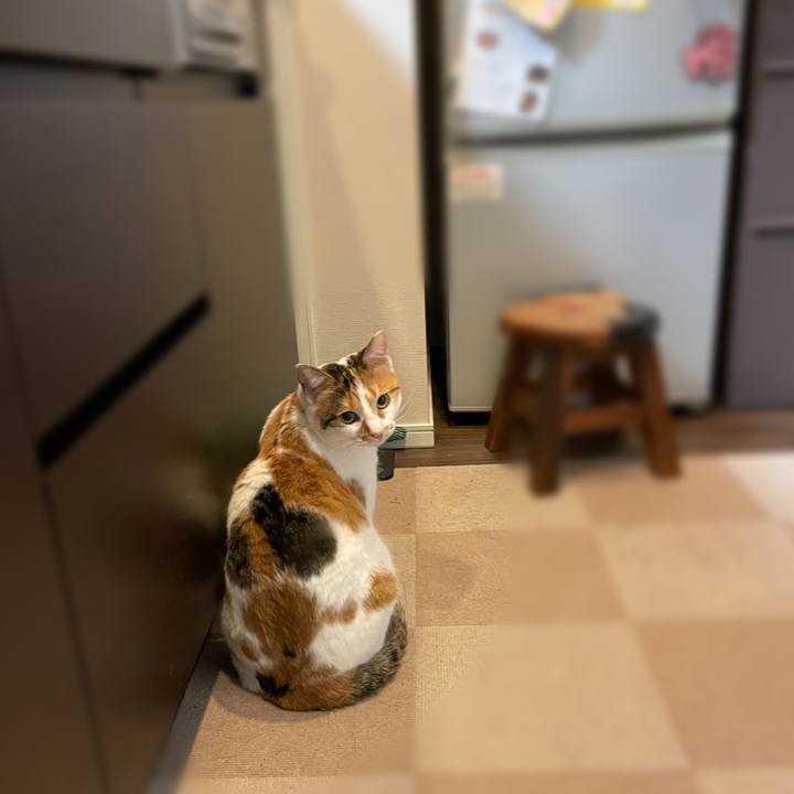 67d321ee c15c 40ca b958 6272f2217e6a 1611492218420