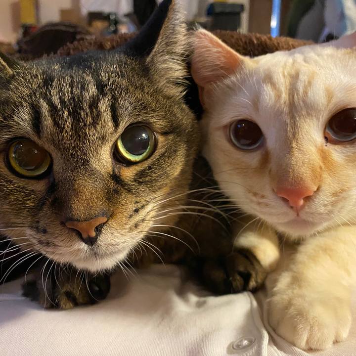 67d3237c 8181 46ea 951b 8cca9c988a21 1671698535505