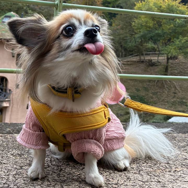 67d34b01 3b68 4a4b b047 cc12a88d8c4e 1766016355228