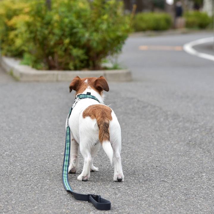 67d34d32 6e85 4118 b586 51b3665d30ce 1522064973965