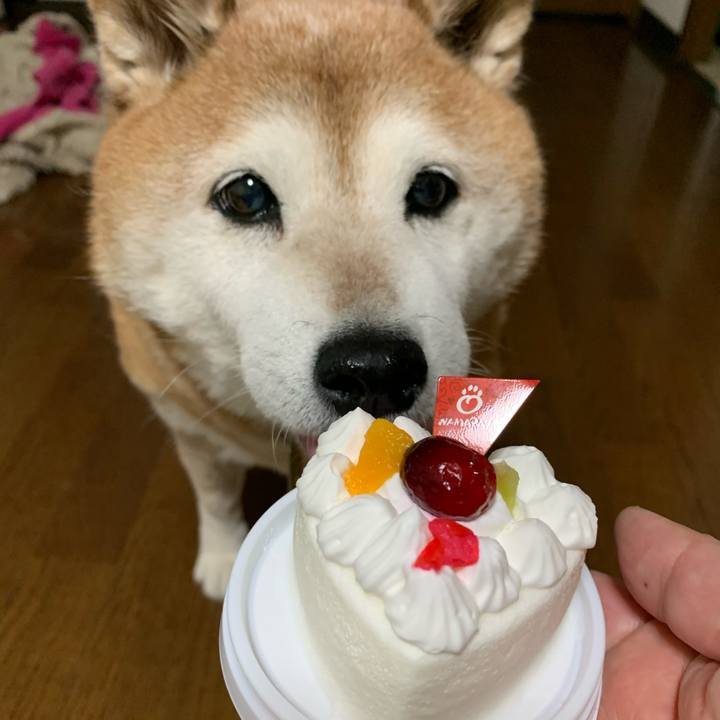 67d36d8f 6b97 4642 8378 b4b8d5715637 1579685509096