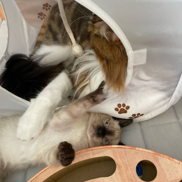 67d3cb7e 6c27 4dee 89f4 a6e81179617c 1690100814178