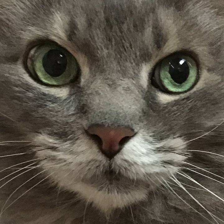 67d3e593 5ad7 4cf7 82c4 bb50bf817ef5 1774663810644