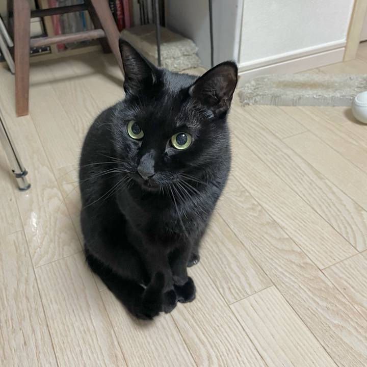 67d40054 4c3c 40e6 8756 c0b1767dc252 1645448229636