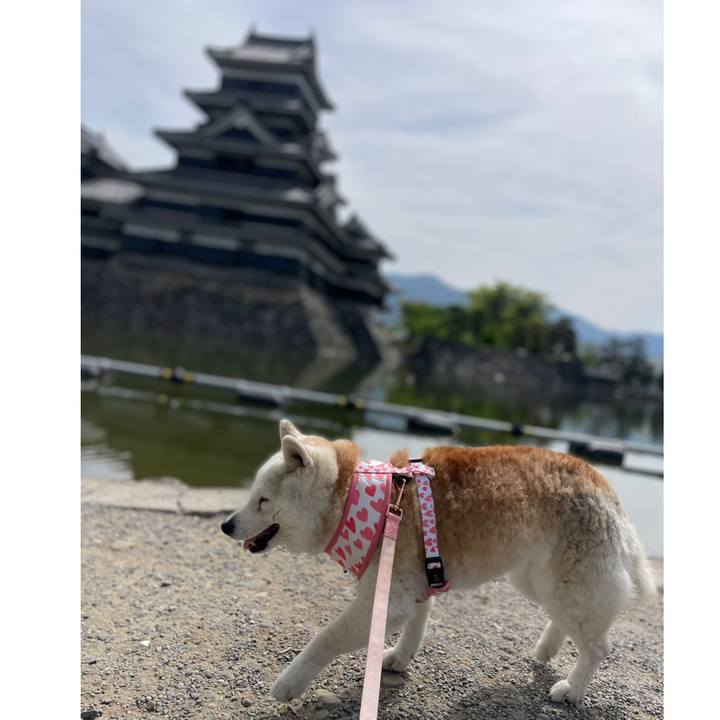 67d42cb4 136f 4337 97e4 94c384a3ad0e 1746518226511