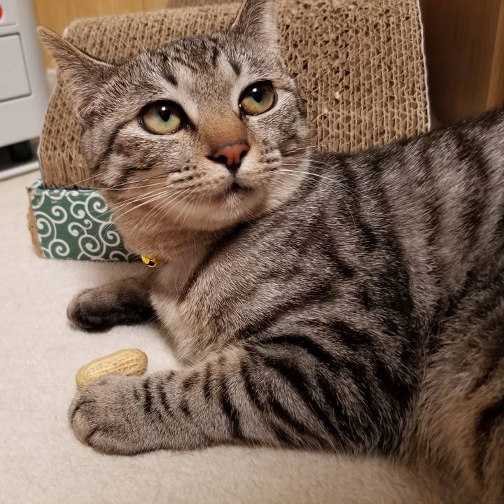 67d43063 eed8 4d2a 9f1e 8a2fcc452c27 1675518544197