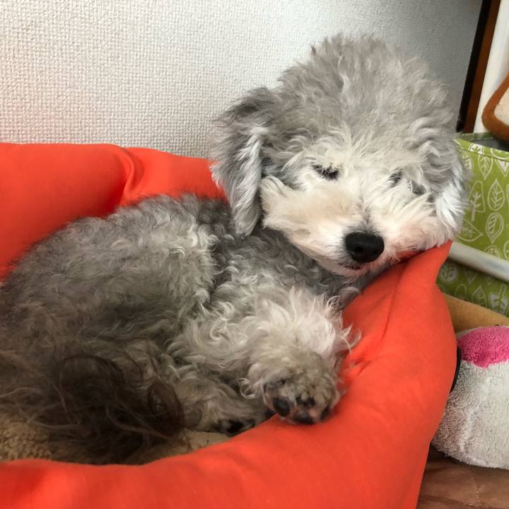 67d43c94 1440 4c3c 967c a5e08bff4279 1540162714058