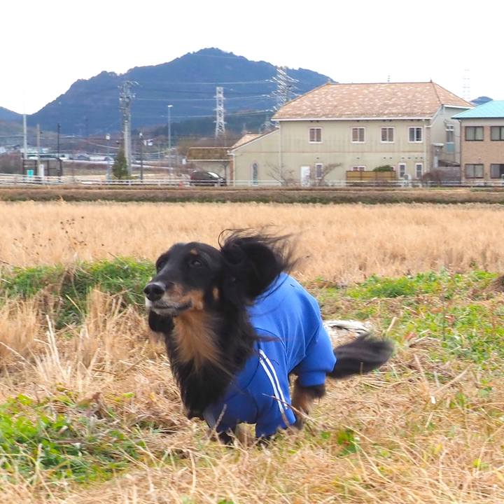 67d447b7 4405 4433 bfb3 fc9a5644e8ff 1672639024481