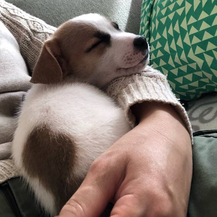 67d4548b 97ad 4e6a a943 3c85c108831f 1544241184945