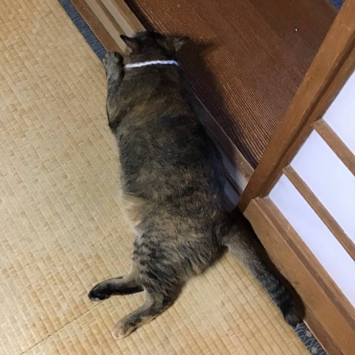 67d49480 4dbe 45b7 9b71 e10523ab1b1a 1751982955956