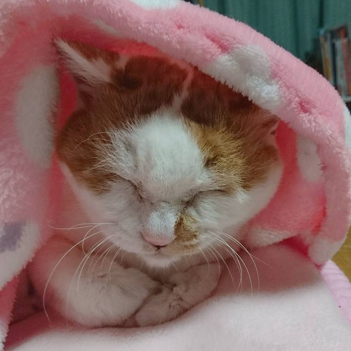 67d4d7db 2116 45d6 9418 f8aeb915d968 1639786325475