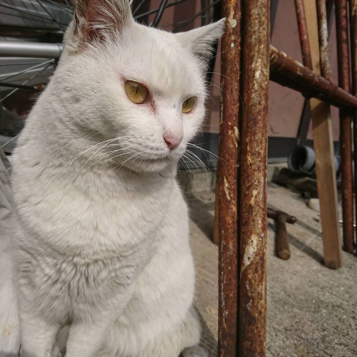 67d4fc8f 5c3b 4d00 9b09 f3f411566450 1550808541539