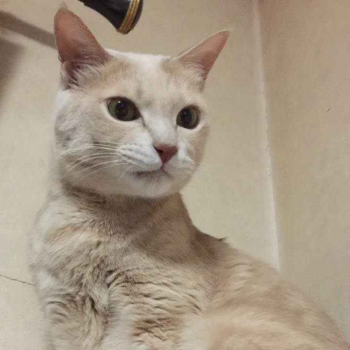 67d50ae2 cd22 4bdf b817 f758329fd534 1569065905520