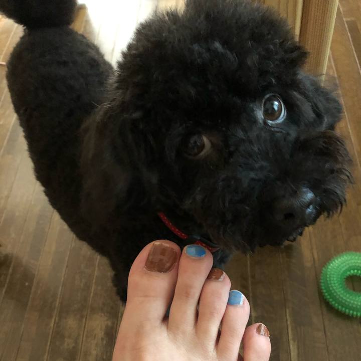 67d52525 6380 424f 8b18 bfe152b016c3 1595137806591