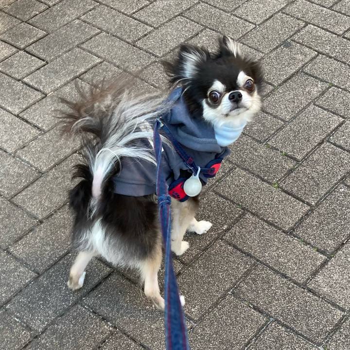 67d52d3d ebe3 4b83 bb58 f91ff59f3f9a 1711210753144