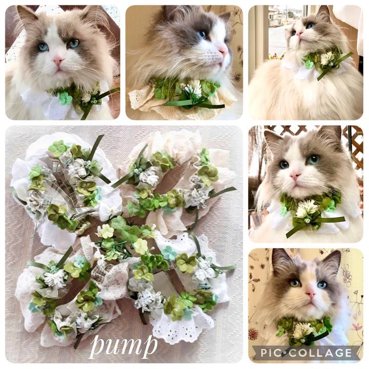 67d55203 bf42 4b66 a51e 30000faf0fb2 1616915513309