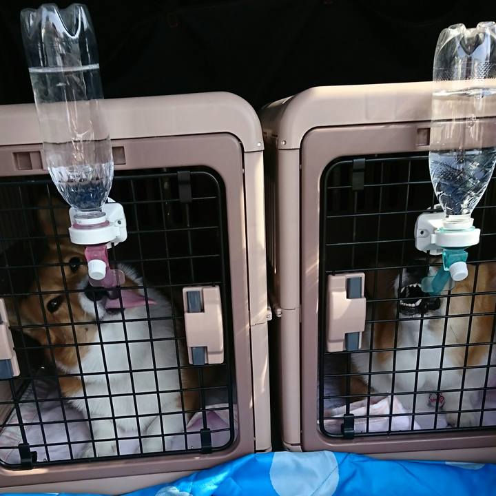 67d562de 748b 4aa8 8d77 55e7341f66b7 1524210442317