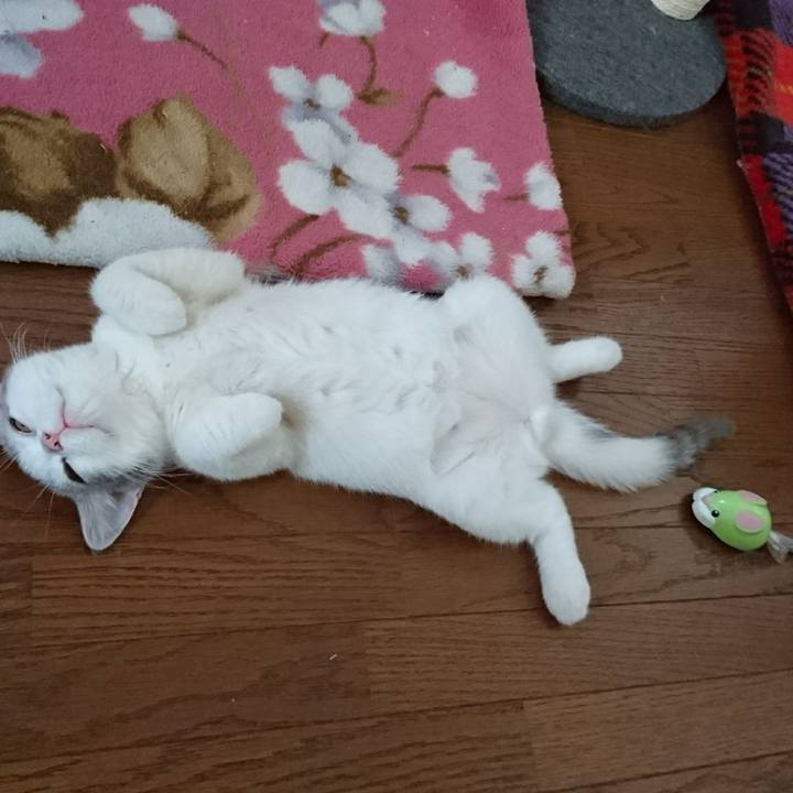 67d569ec b26a 456b 8db3 88ea3439c4c3 1531513202042