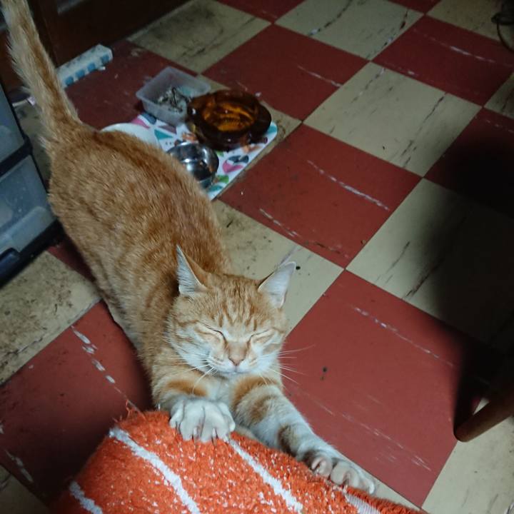 67d59516 c19d 4ec5 beb3 ae05d9941377 1590052433311