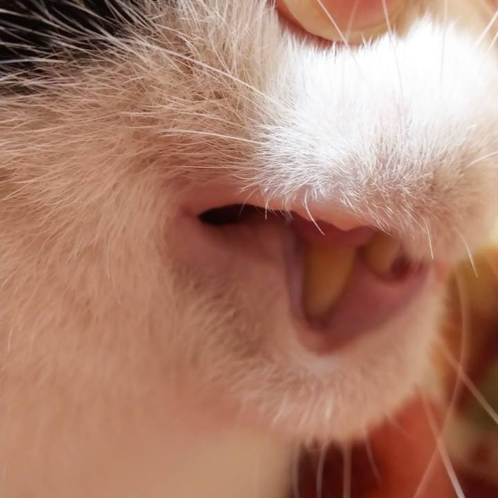 67d5a780 8480 4516 83cc af7b5f83d236 1577583584726