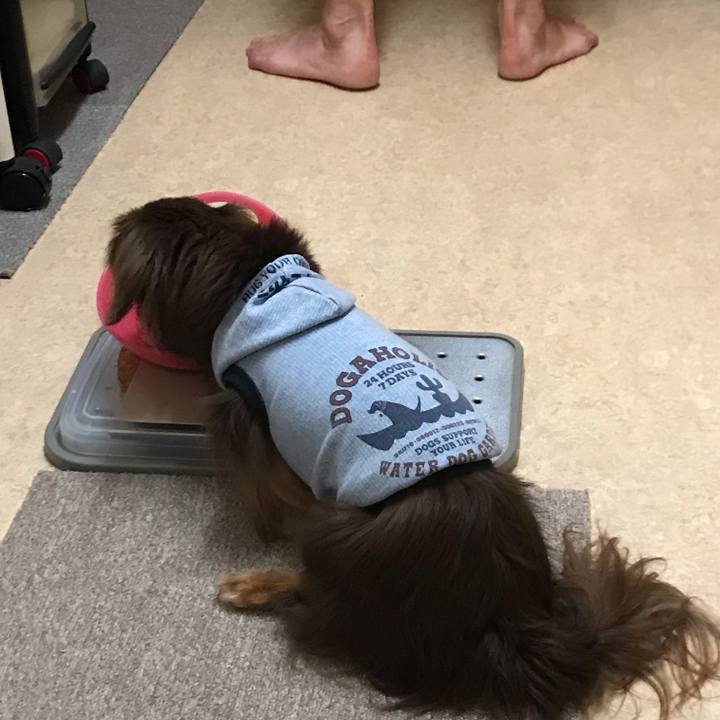 67d5b271 e4f2 424c be42 6764d2ab7b94 1560347763710