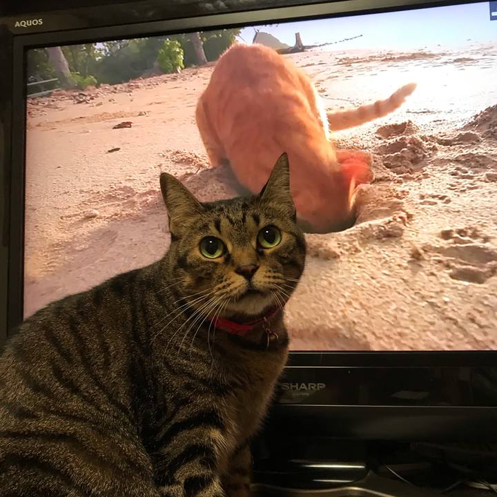 67d5ba30 2bb1 4a12 a667 519c95803c72 1574182988819