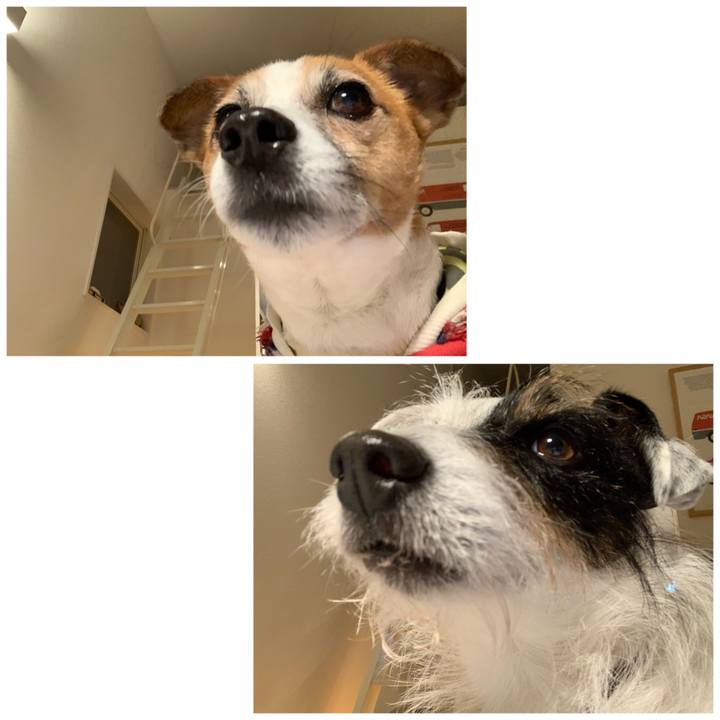 67d5dbd7 4f68 4db5 835f b6b07ee288f4 1610789086190