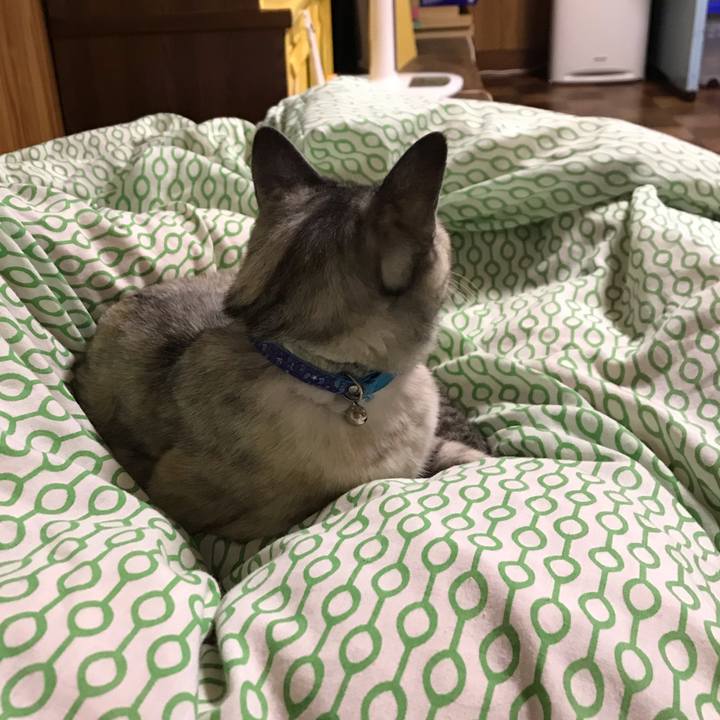 67d62692 f216 4385 89c8 7b61ae06dd9b 1601291926614