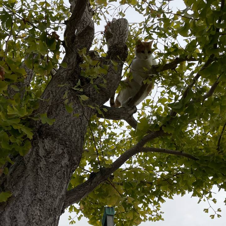 67d63d27 2a7f 40c6 b97b 87ee914fbf1c 1667514859434