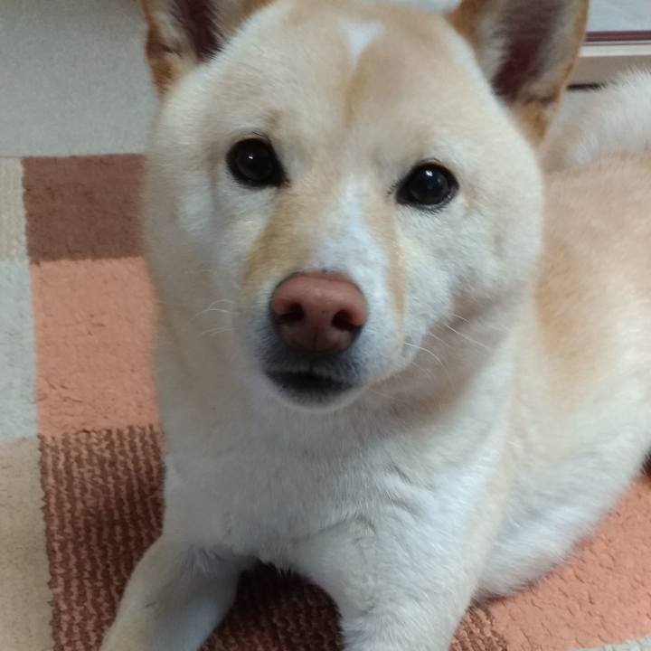 67d641a7 0898 4d0f b7a7 5fe8e064a053 1553812104968