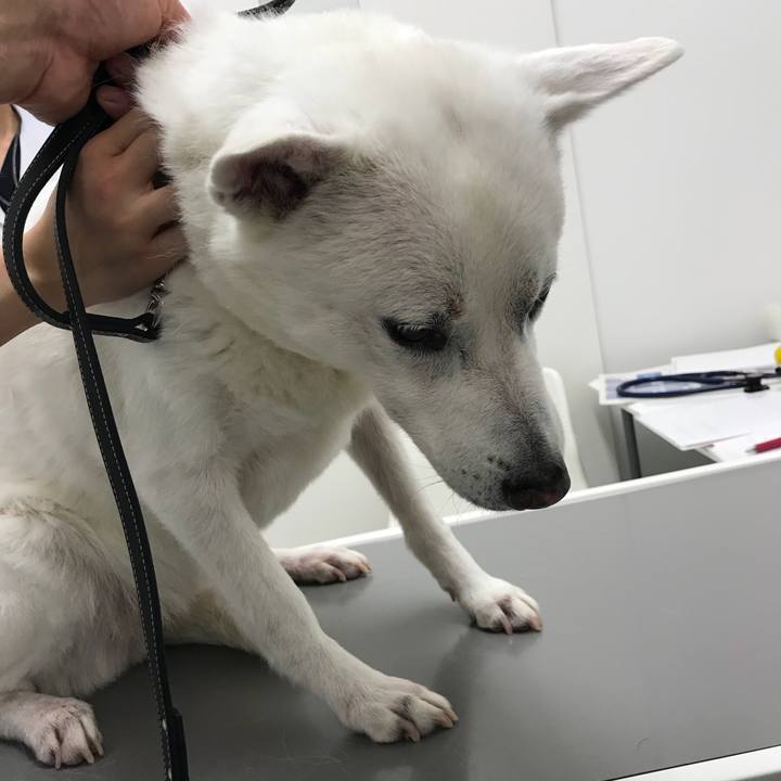 67d698b5 8d20 4e26 a9a1 c3a9e7640ae3 1524919898492