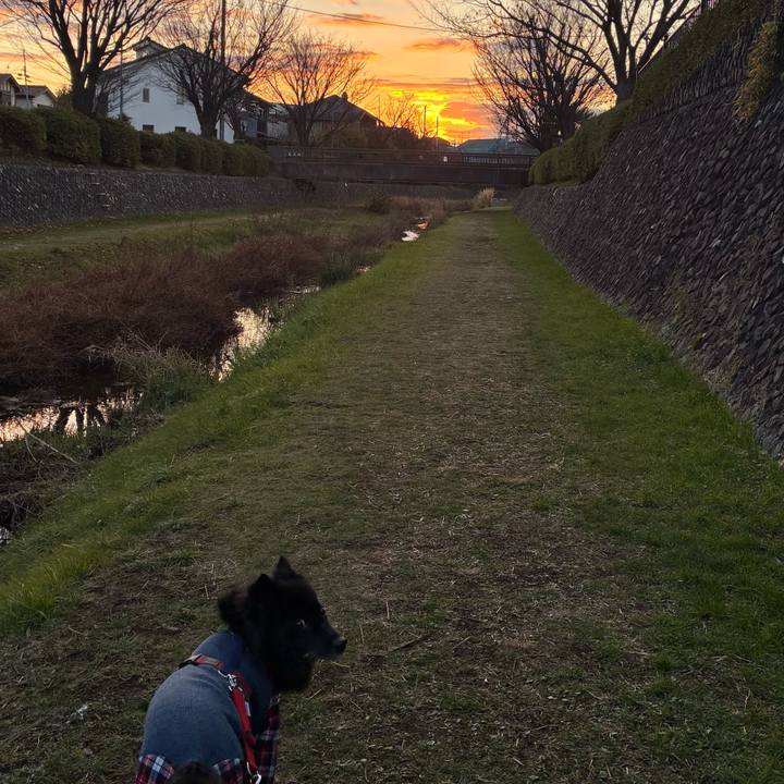 67d6c368 fccc 4b5b 9e10 f91e3b975307 1765844398447