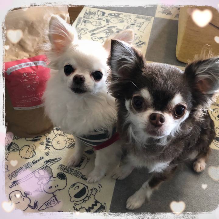 67d6da09 893e 4a57 a7ce ea552d525b04 1582888325702