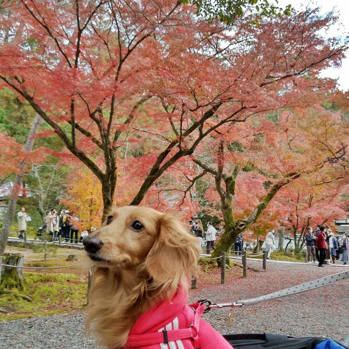 67d6da40 9c55 4225 80ba df5747faff12 1637840635419