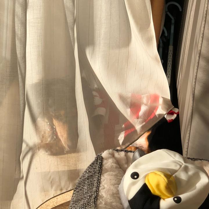 67d6f3ad 799e 4878 b918 d1c5e014afe2 1544849681836