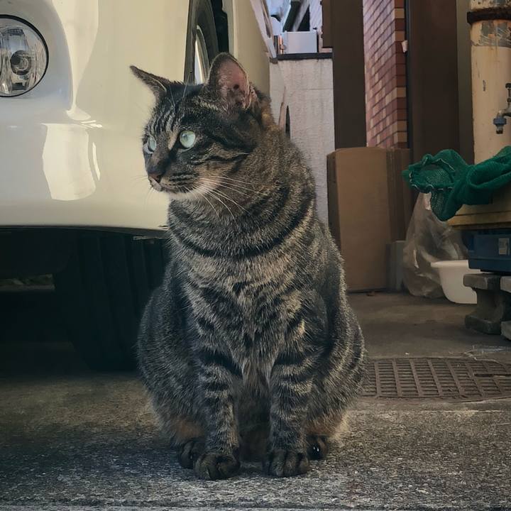 67d73496 dc8e 4168 a325 a7a248d53f85 1601364712335