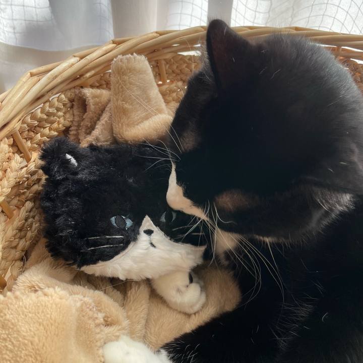 67d73a42 fb2d 4a05 9500 003e65aa1bcf 1732241845921