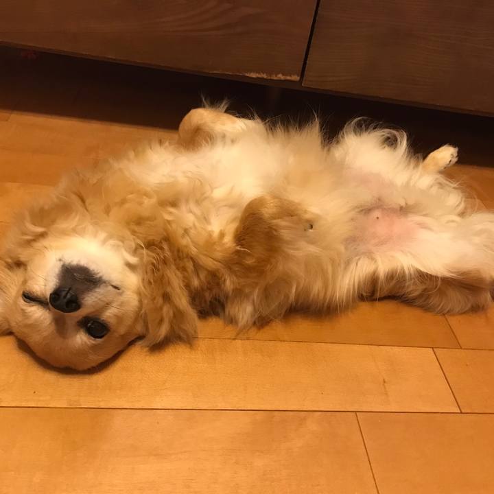 67d74f9f cdb1 49e0 8338 6d11fcd473dc 1563034237583