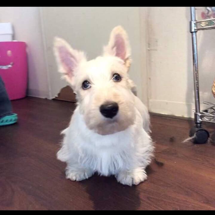 67d76540 bb57 4e4b b67f ce702b08c44c 1533307406066