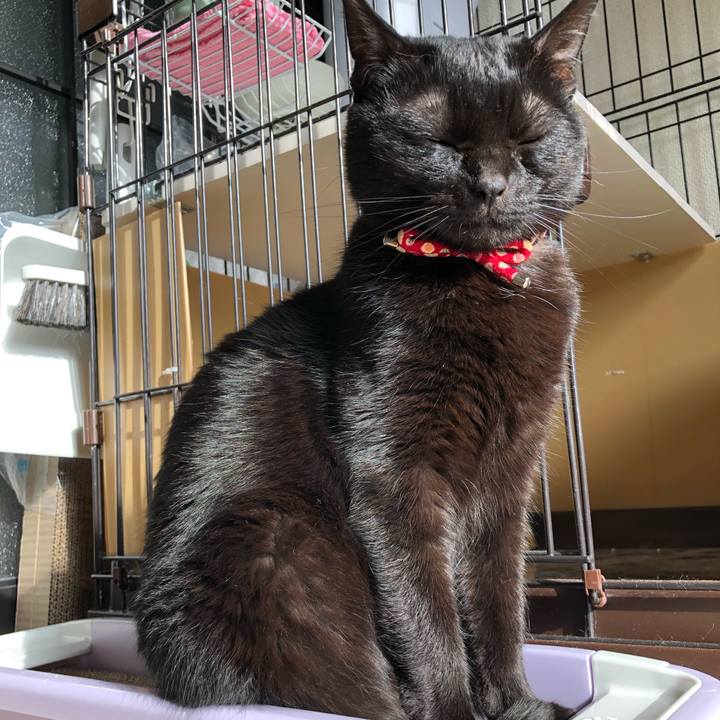 67d7e092 672b 48bd 9987 1d7099f80361 1617075435302