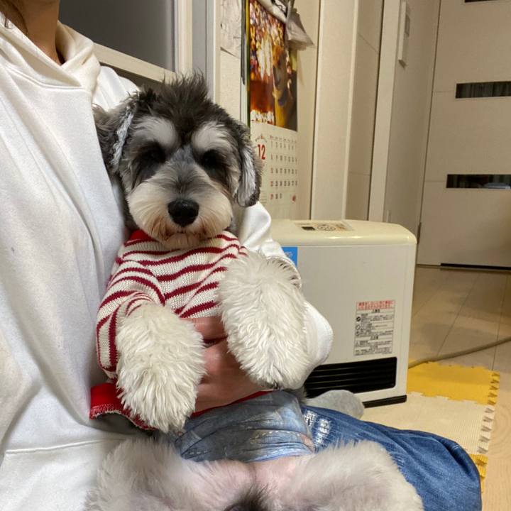 67d7e2c5 9955 46fe 97bf edd656a250e3 1577809334854