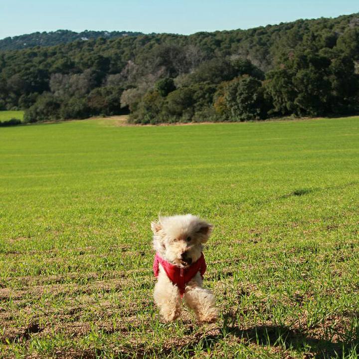 67d7f96f 044d 474a bcca 4aa26790b519 1579613448396